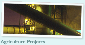 Project - Agriculture Agriculture Projects